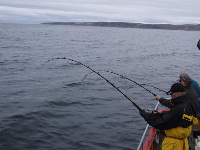 Nordkapp 2008