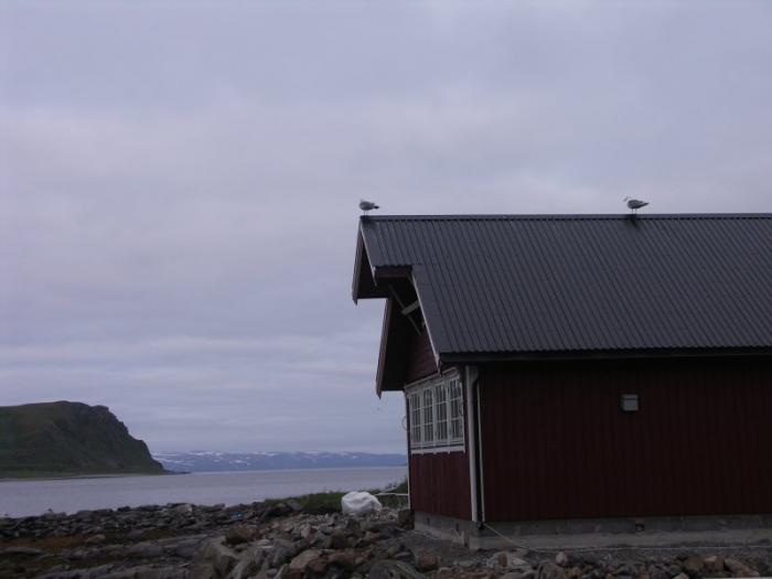 Nordkapp 2007