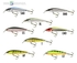 Salmo Sting suspending