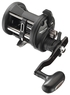 Daiwa SEALINE SLW