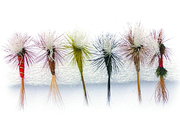 Mustad CL-Flykit zestaw much sz12 # Dry parachutes 6szt
