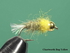 Złotogłówka Chartworth Bug Yellow