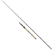 Abu Garcia BEAST Pro Casting Rod