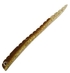 Dragon Larva