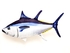 Gaby poduszka tuńczyk błękitnopłetwy