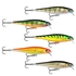 Rapala BX Minnow