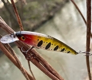 Manyfik Twitch Trout 