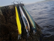 Shimano Bantam Rip Flash