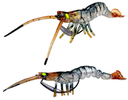 Savage Gear 3D TPE Manic Shrimp