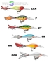 Rapala X-RAP Shad
