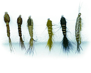 Mustad CL-Flykit zestaw much sz 2 # Nymph 6szt