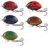 Salmo Lil`Bug