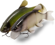 Quantum Freak of Nature Hybrid Tench