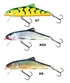 Salmo Skinner