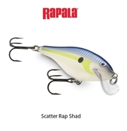 Rapala Scatter Rap Shad