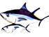 Gaby poduszka tuńczyk błękitnopłetwy gigant