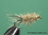 Złotogłówka GH Ultimate Caddis Larva