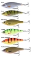Savage Gear 3D Roach Jerkster